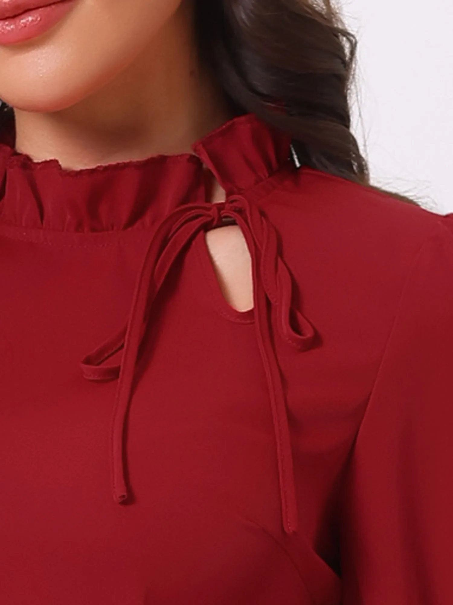 Elegant Long Sleeve Blouse Ruffle Tie Neck Business Work Top