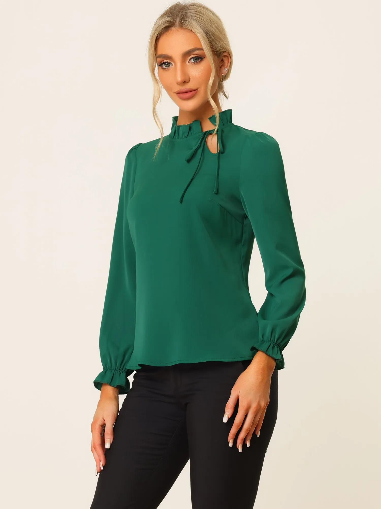 Elegant Long Sleeve Blouse Ruffle Tie Neck Business Work Top