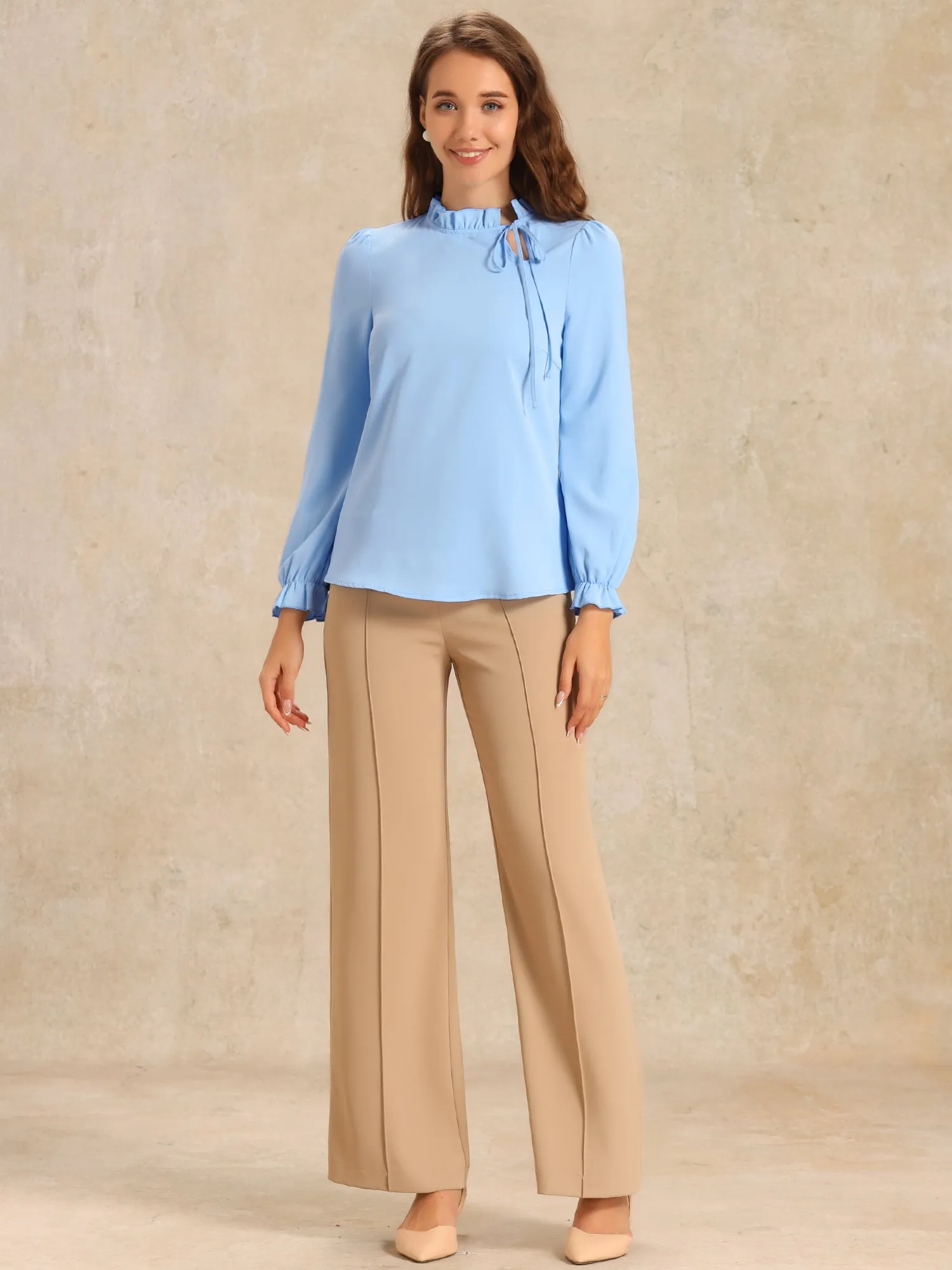 Elegant Long Sleeve Blouse Ruffle Tie Neck Business Work Top