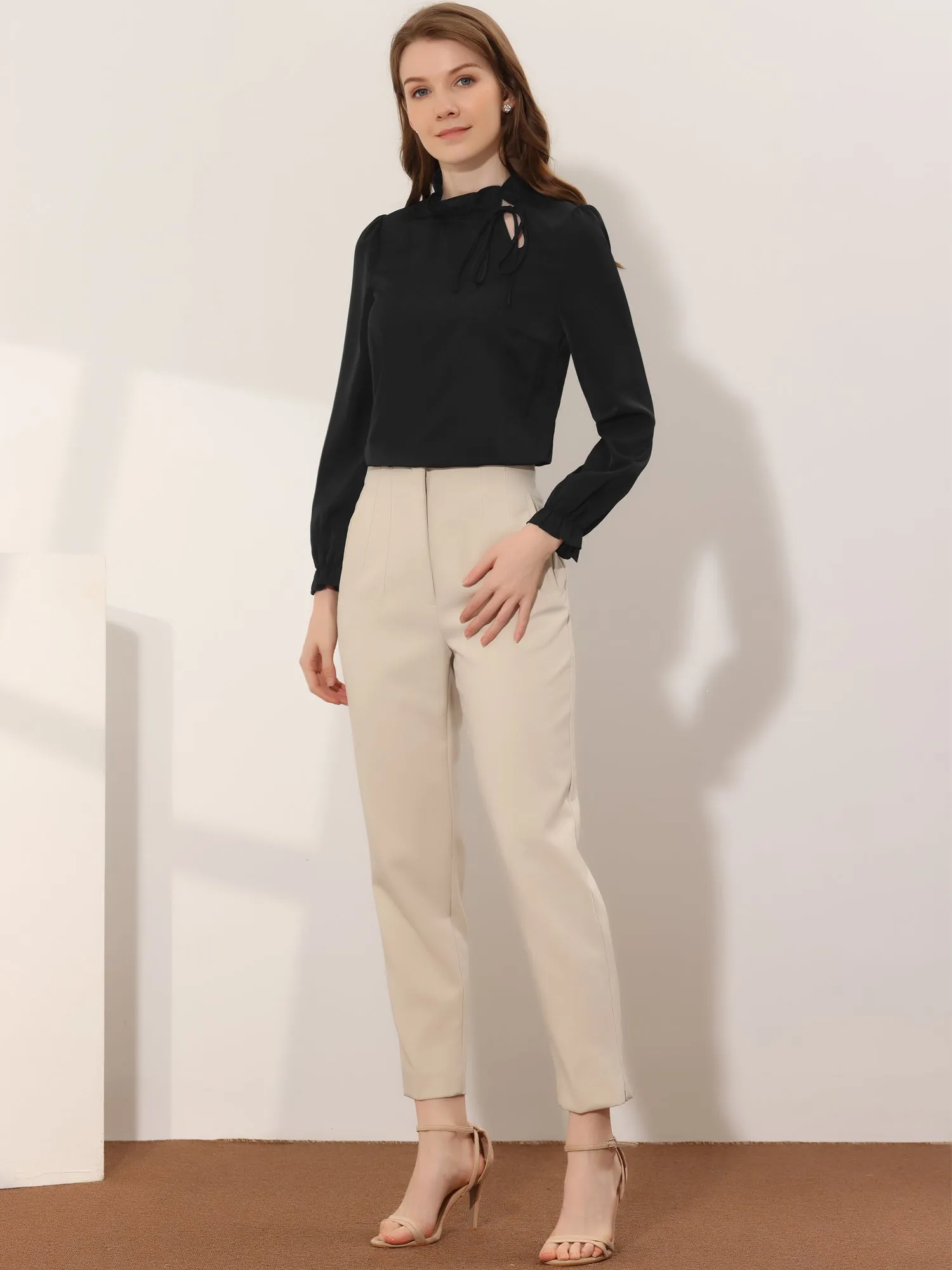 Elegant Long Sleeve Blouse Ruffle Tie Neck Business Work Top