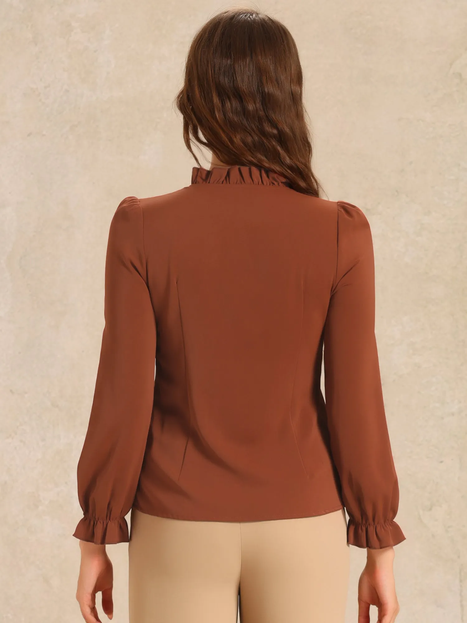 Elegant Long Sleeve Blouse Ruffle Tie Neck Business Work Top