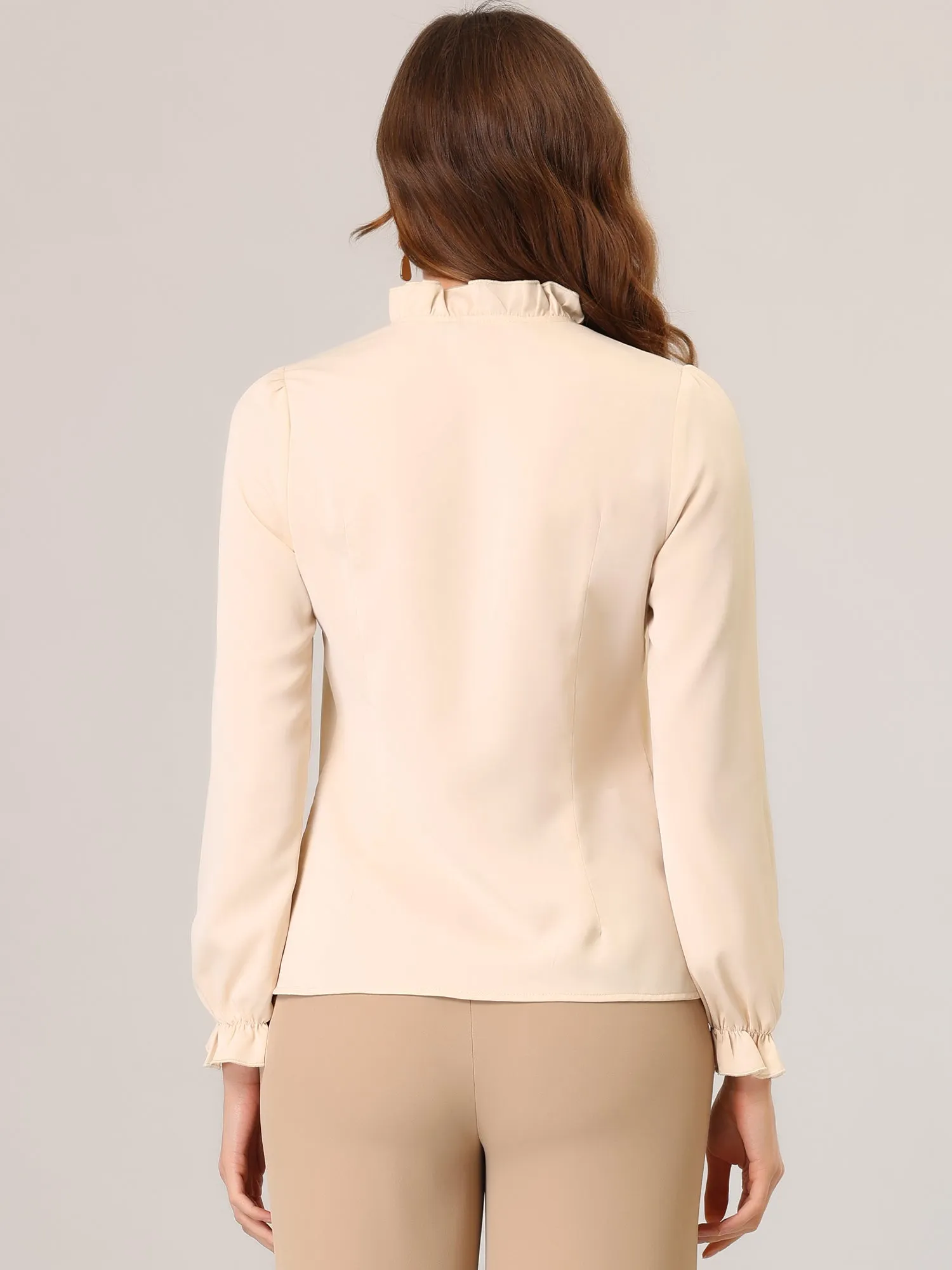 Elegant Long Sleeve Blouse Ruffle Tie Neck Business Work Top