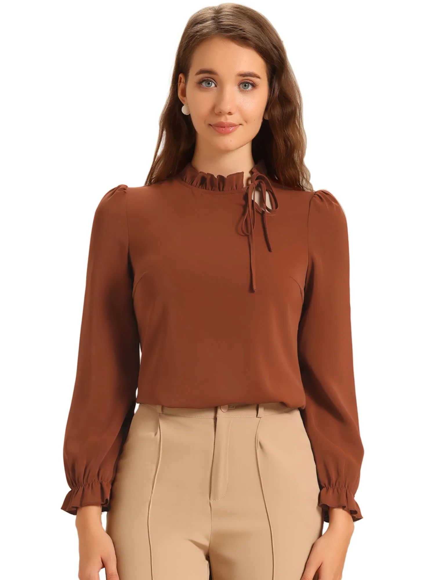 Elegant Long Sleeve Blouse Ruffle Tie Neck Business Work Top