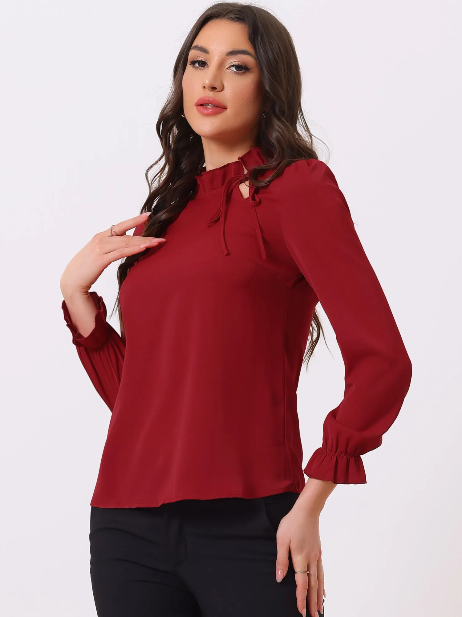 Elegant Long Sleeve Blouse Ruffle Tie Neck Business Work Top