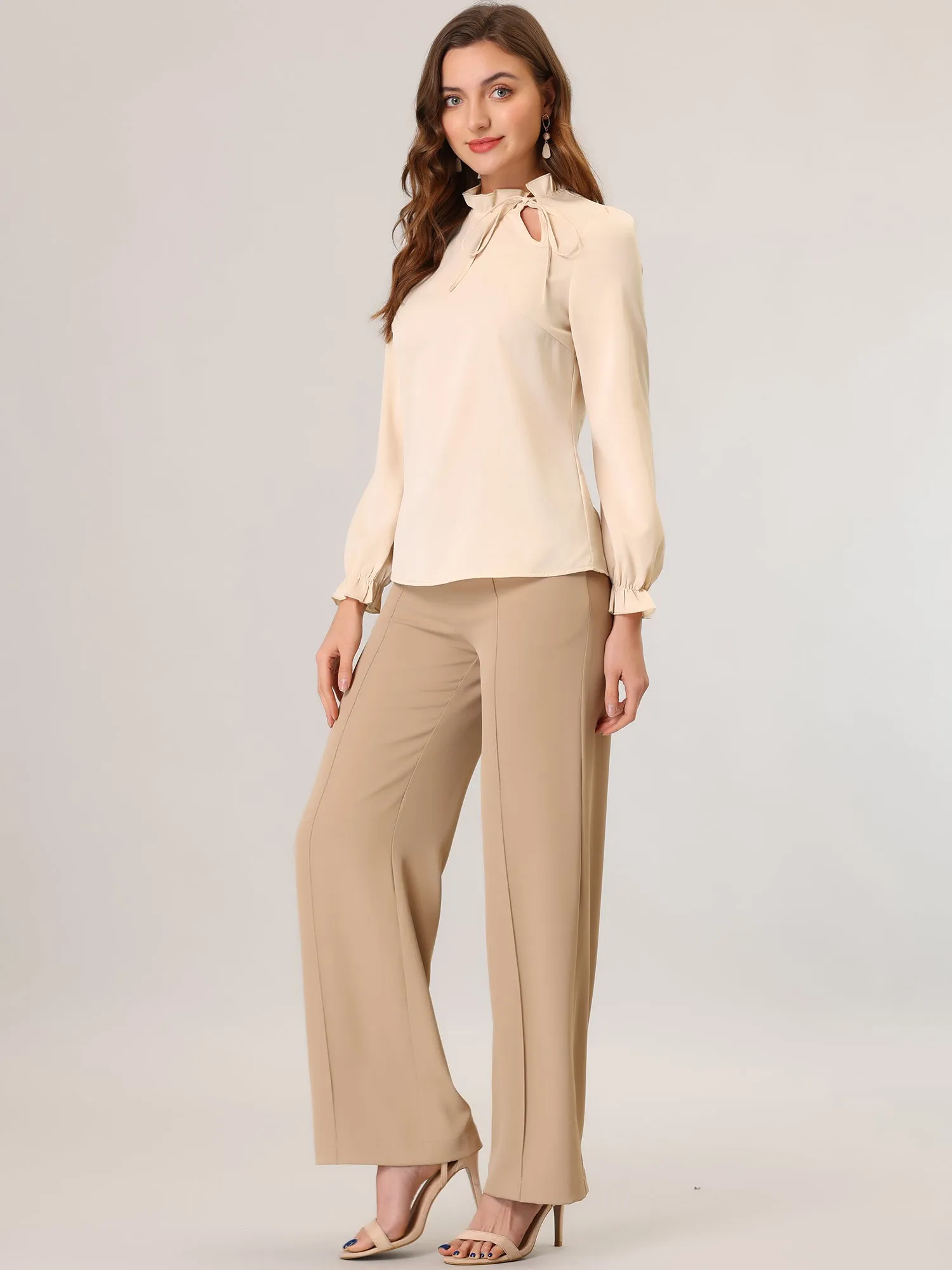 Elegant Long Sleeve Blouse Ruffle Tie Neck Business Work Top