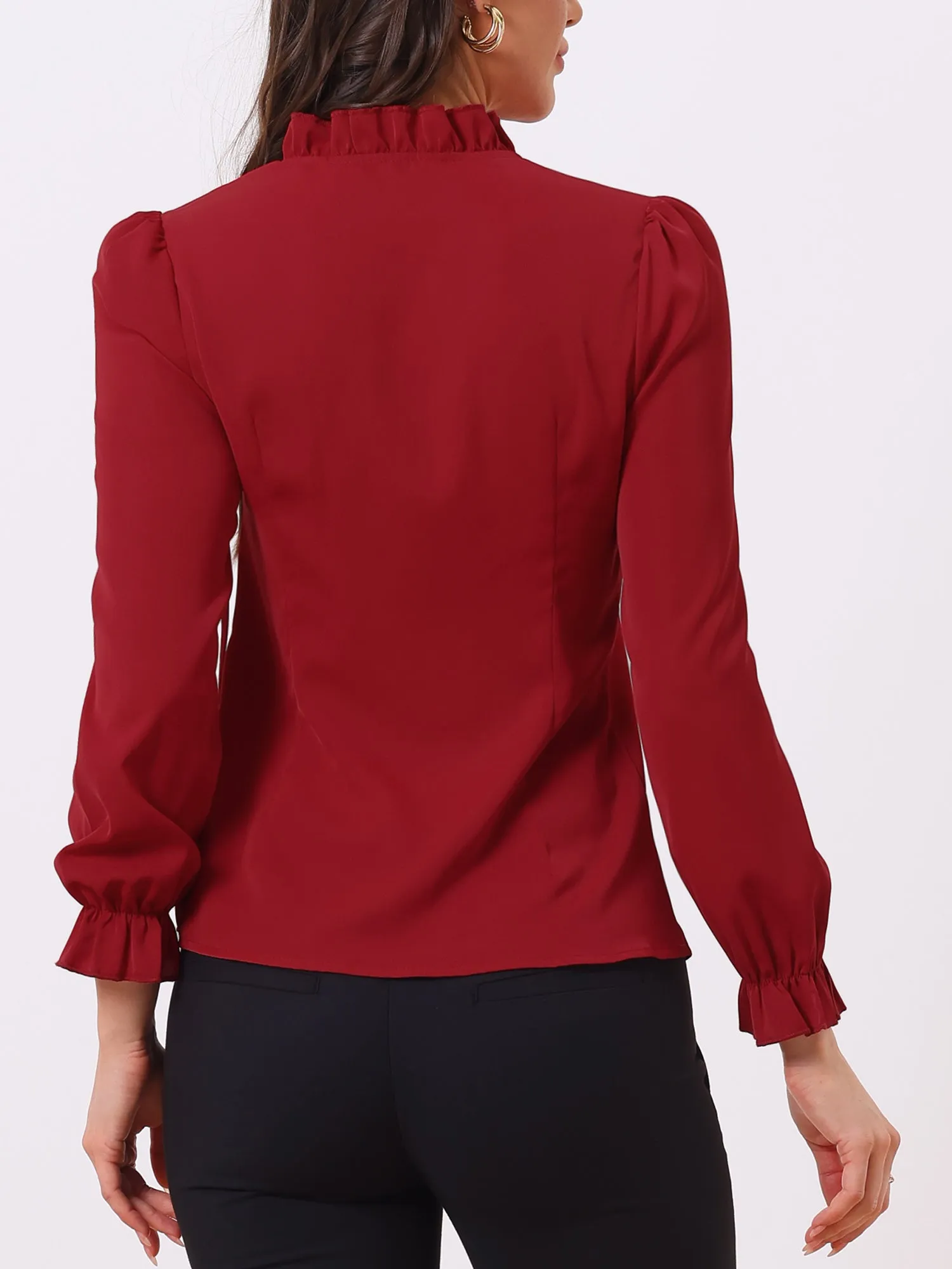 Elegant Long Sleeve Blouse Ruffle Tie Neck Business Work Top