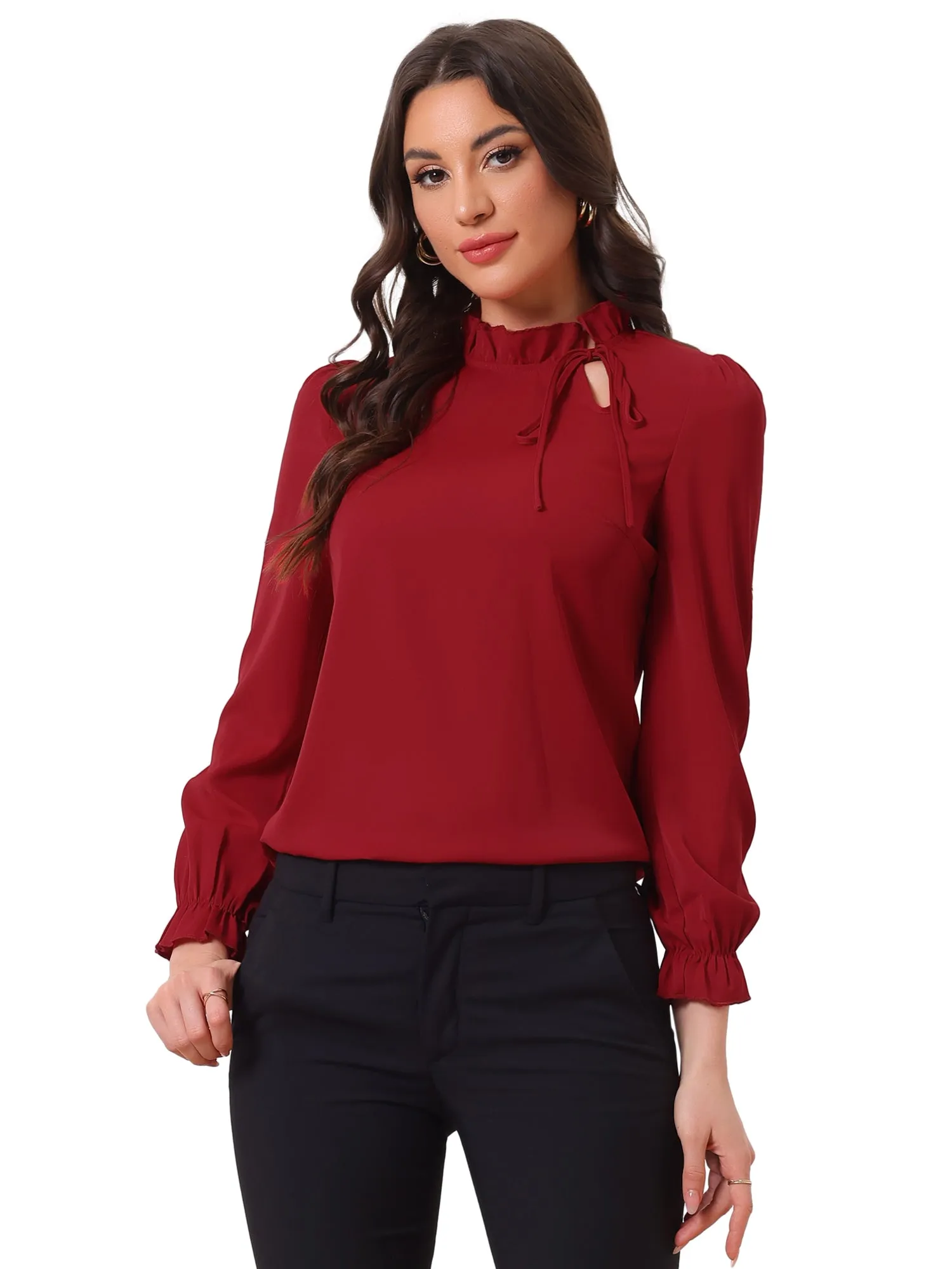 Elegant Long Sleeve Blouse Ruffle Tie Neck Business Work Top