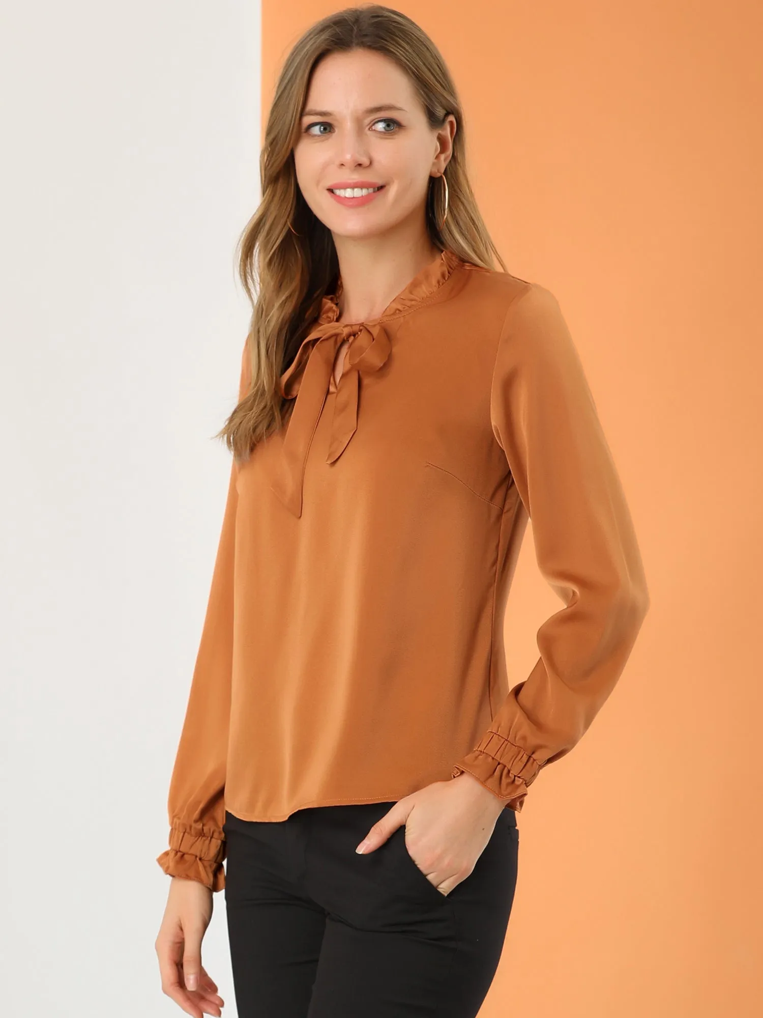 Elegant Ruffle Tie Neck Long Sleeve Work Office Satin Blouse Top
