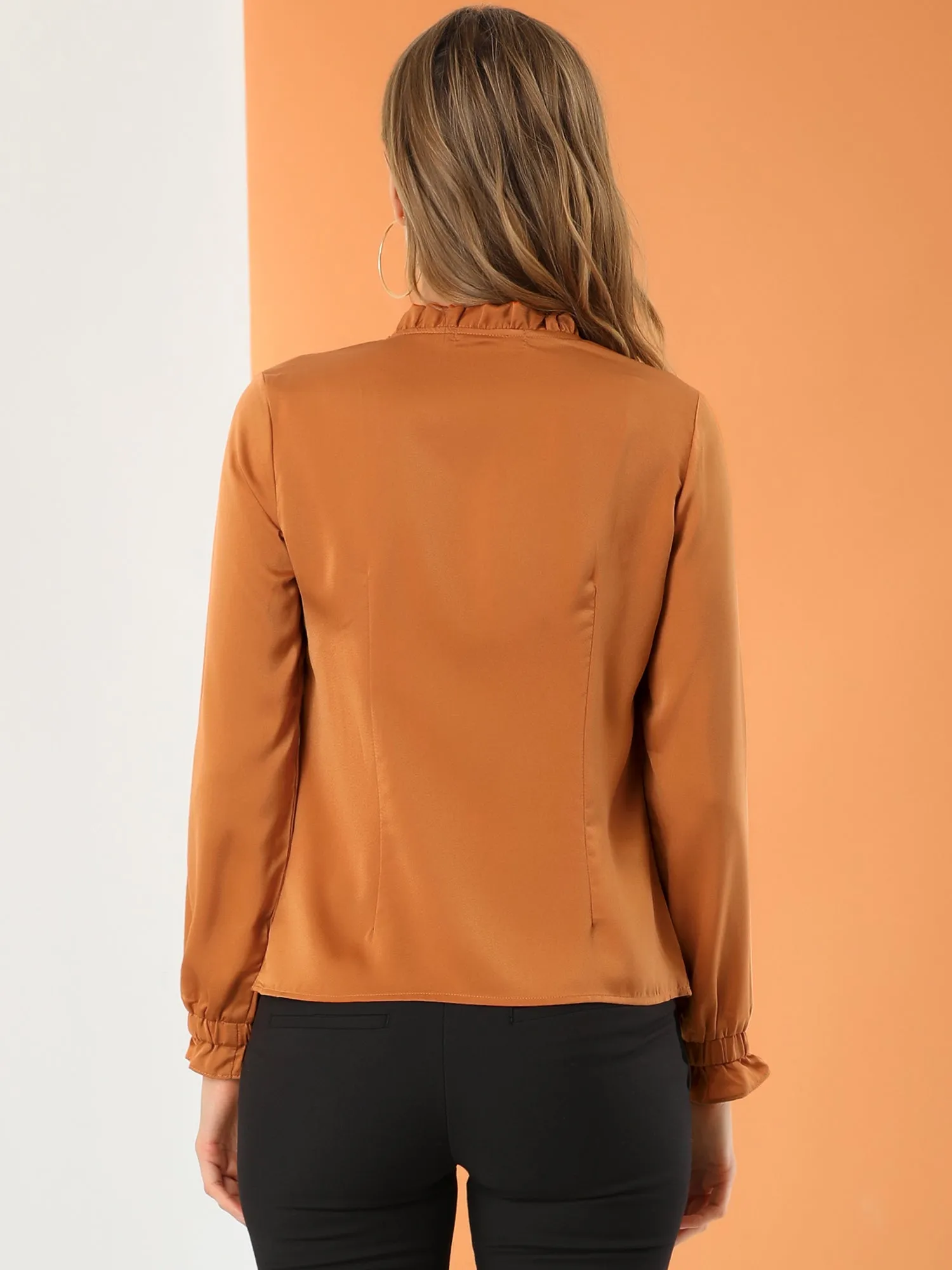 Elegant Ruffle Tie Neck Long Sleeve Work Office Satin Blouse Top
