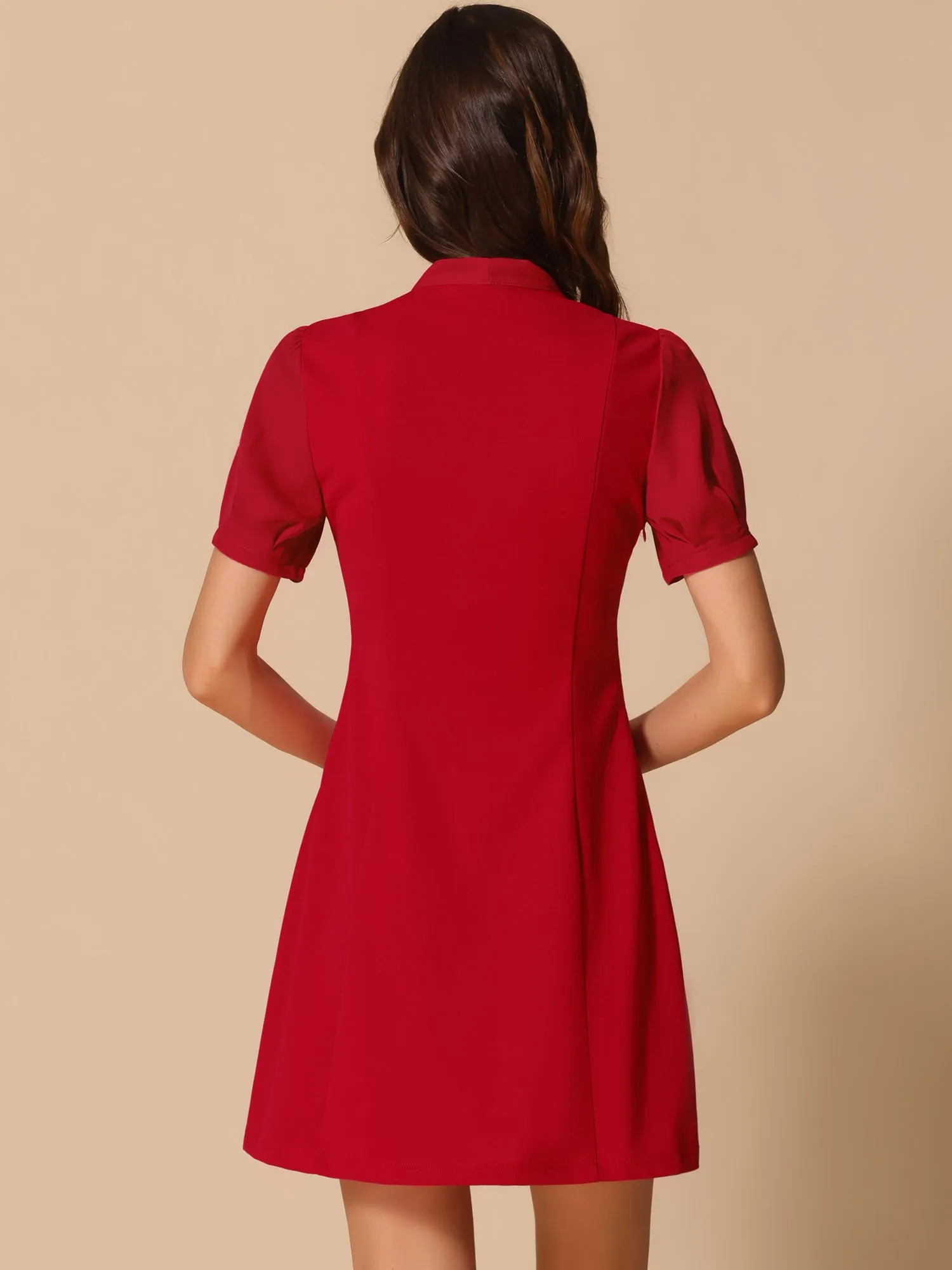 Elegant Tie Neck Puff Short Sleeve Office Work Dress