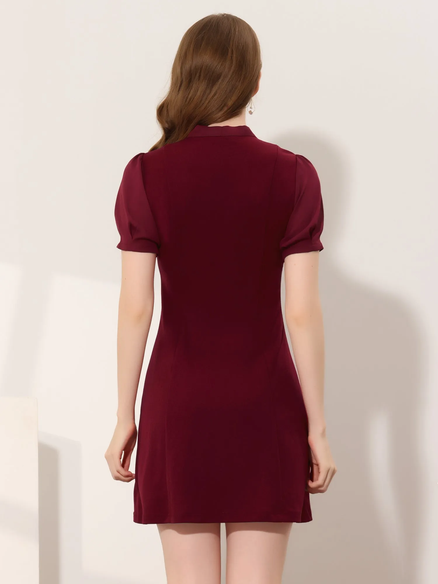 Elegant Tie Neck Puff Short Sleeve Office Work Dress