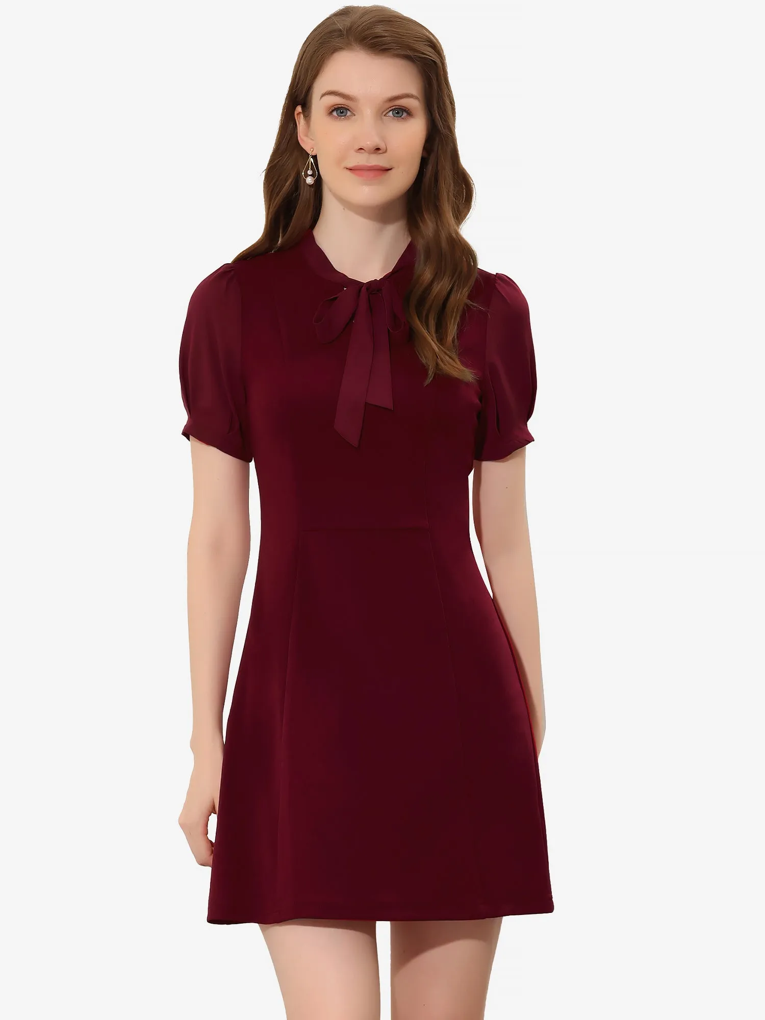 Elegant Tie Neck Puff Short Sleeve Office Work Dress