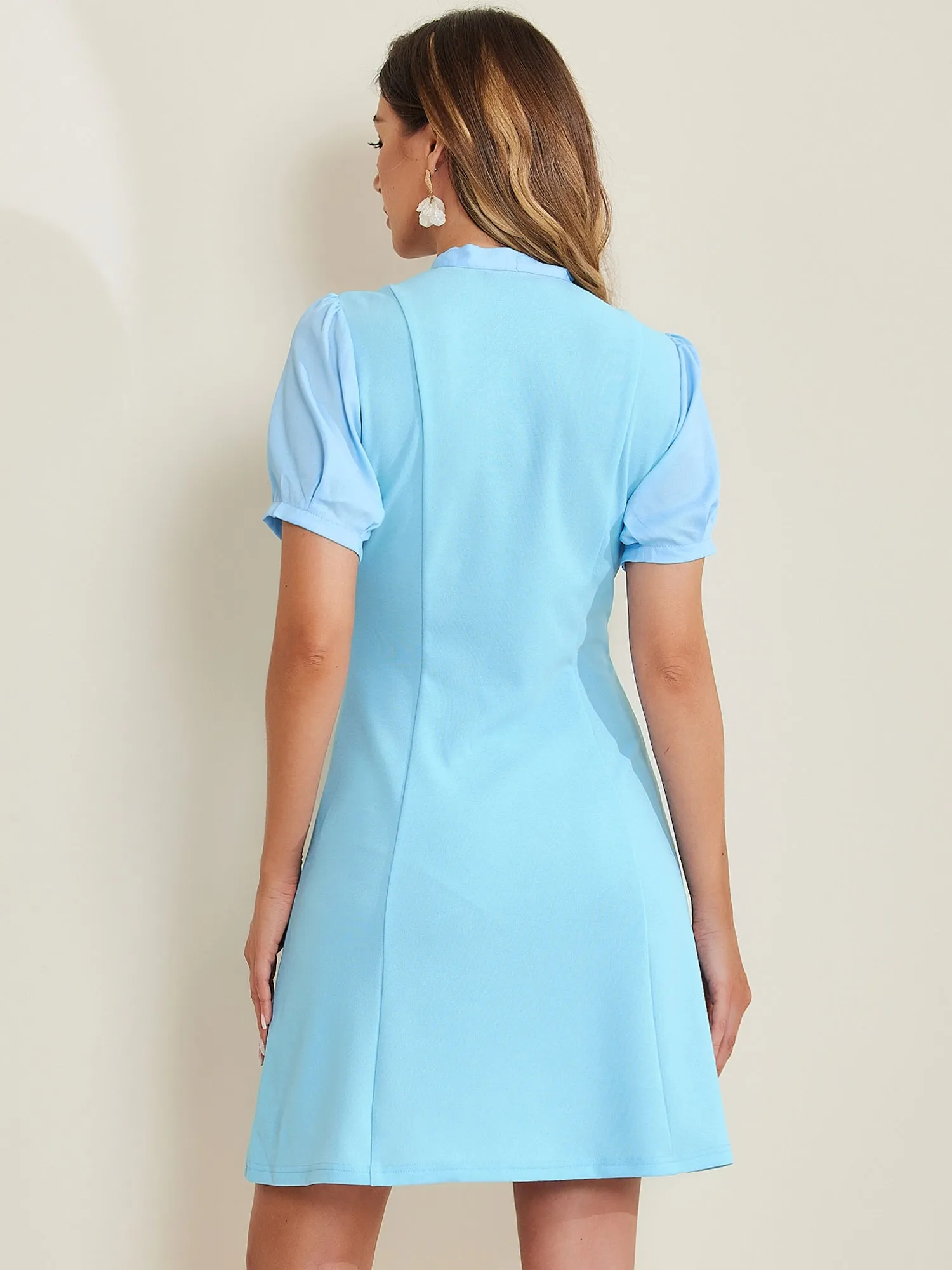 Elegant Tie Neck Puff Short Sleeve Office Work Dress