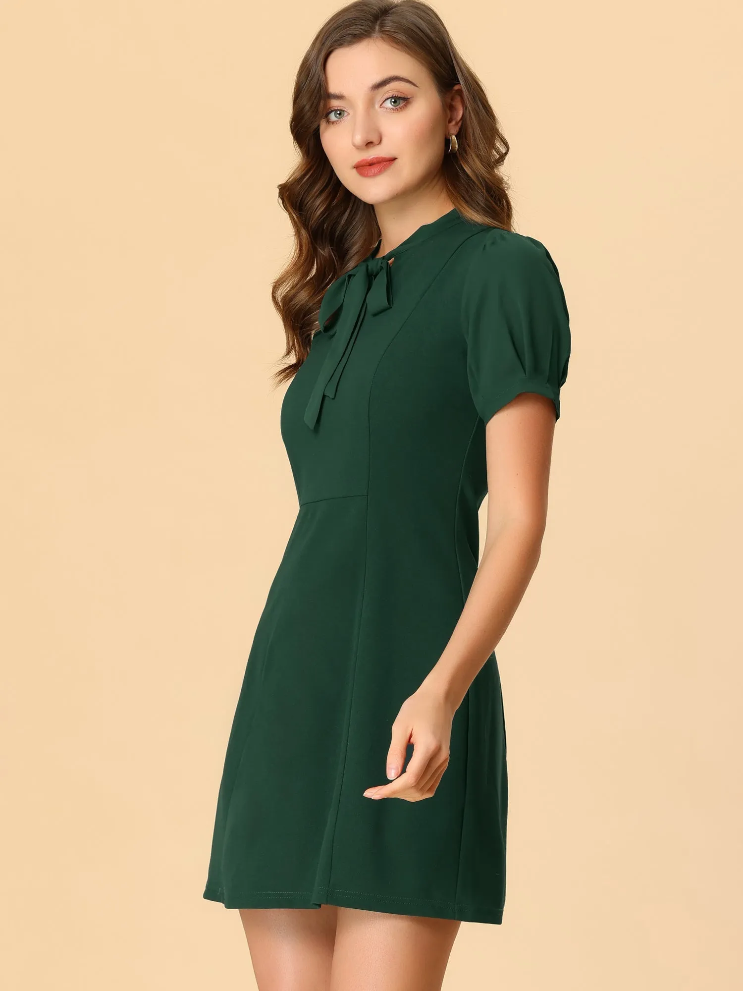 Elegant Tie Neck Puff Short Sleeve Office Work Dress