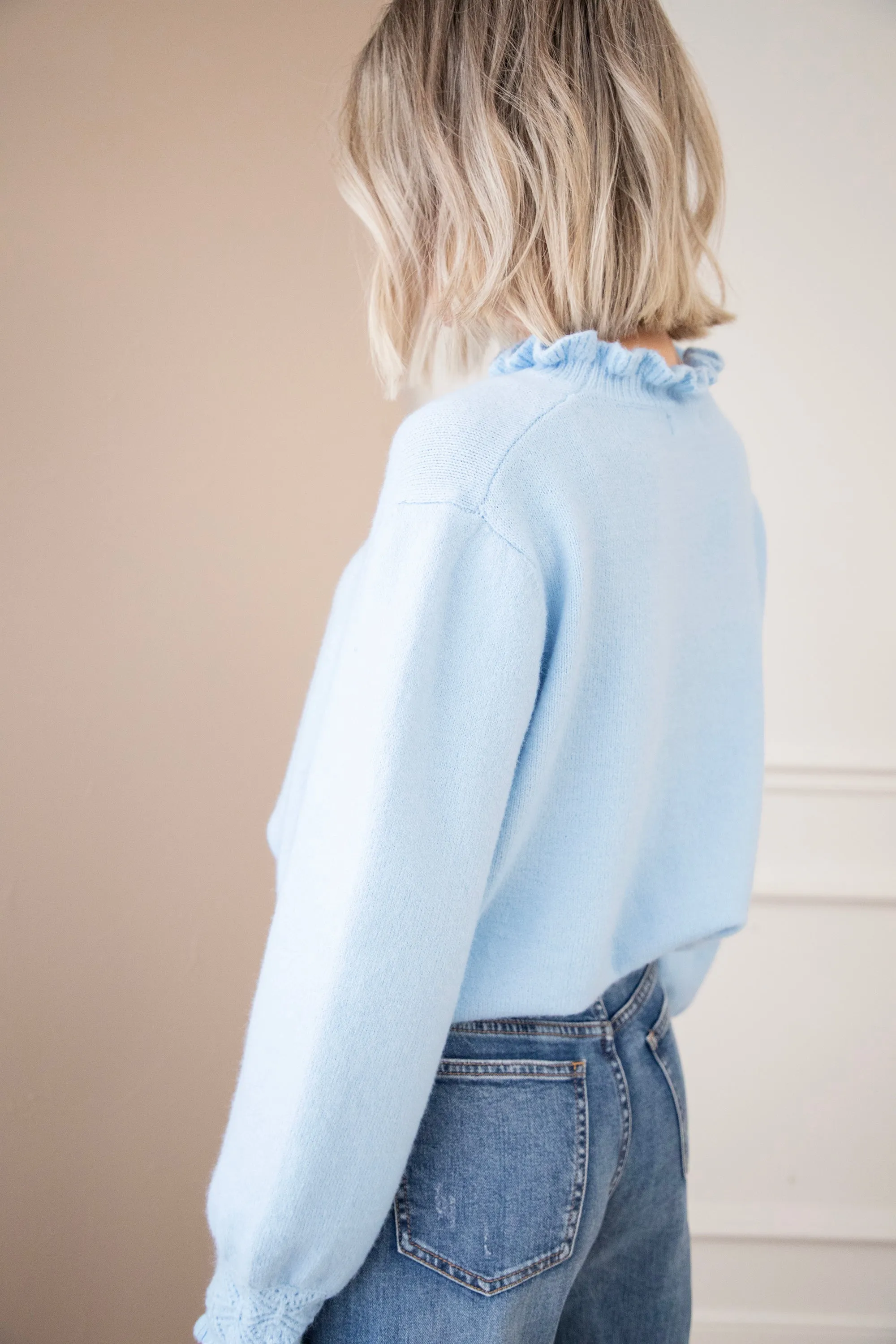 Madelyn Soft Blue - Trui
