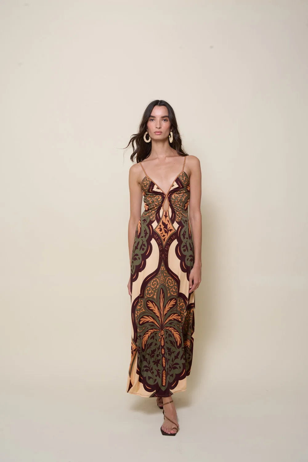 Nuestra Tierra Dress