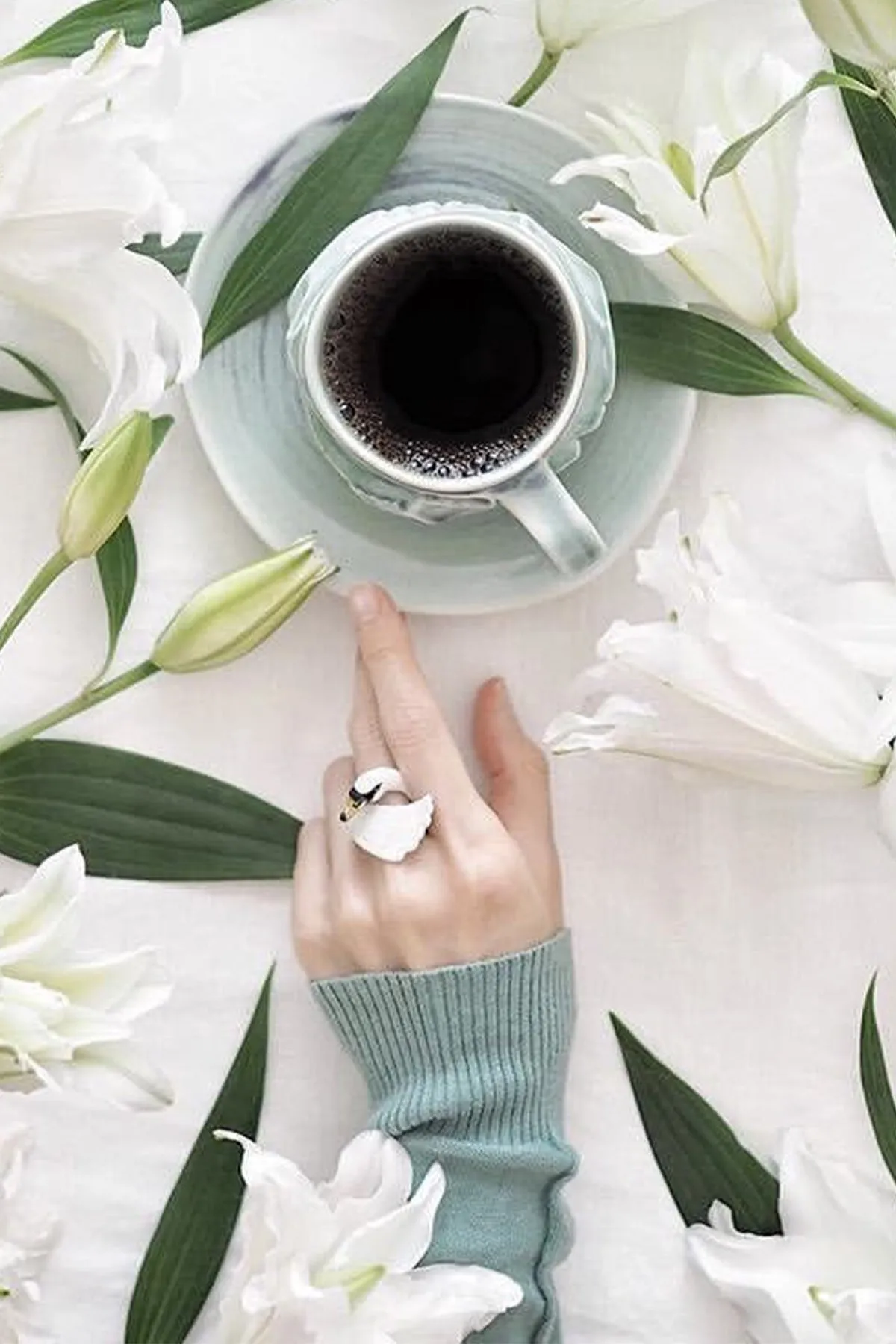 Swan White - Ring