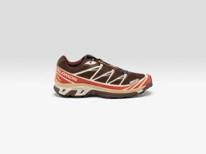 XT-6 for Men (251 / M / BROWN)