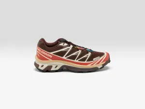 XT-6 for Women (251 / W / BROWN)