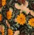 Yellow Floral Swing Dress